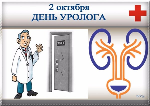 День уролога
