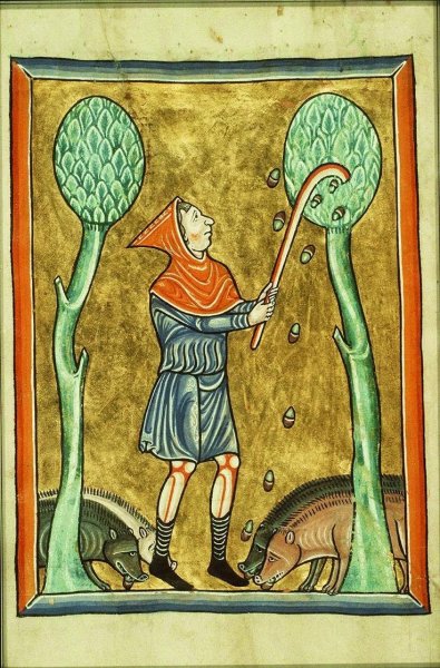 Смешные средневековые миниатюры