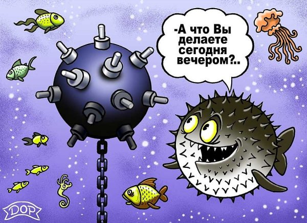 Юмор в картинках