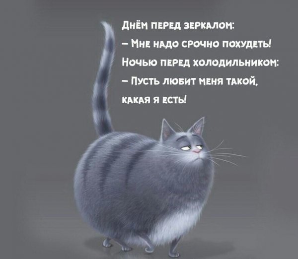 Про вечер цитаты прикольные