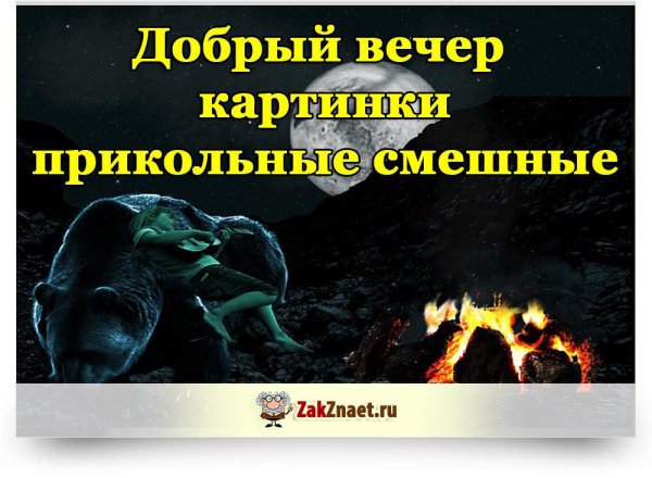 Добрый вечер прикольные смешные забавные