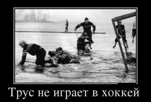 Шутки про хоккей