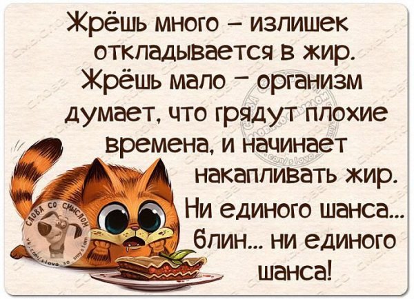 Смешные высказывания