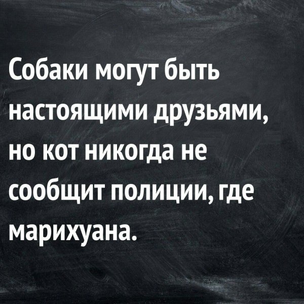 Смешные афоризмы