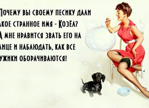 Смешные цитаты про женщин