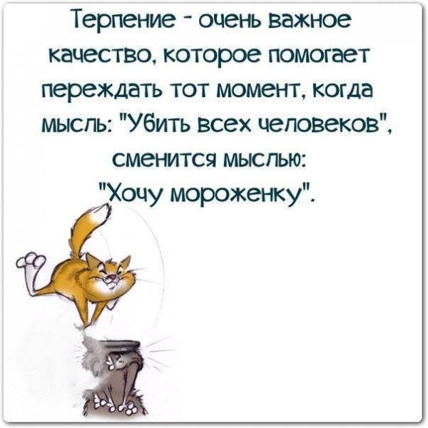 Высказывания о жизни с юмором