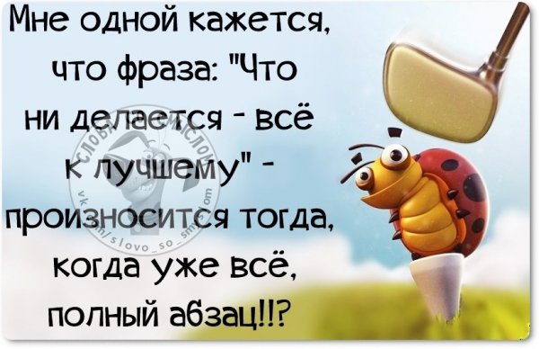 Прикольные статусы про жизнь