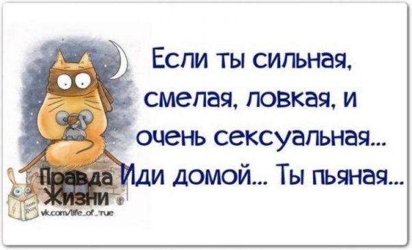 Смешные фразы про жизнь