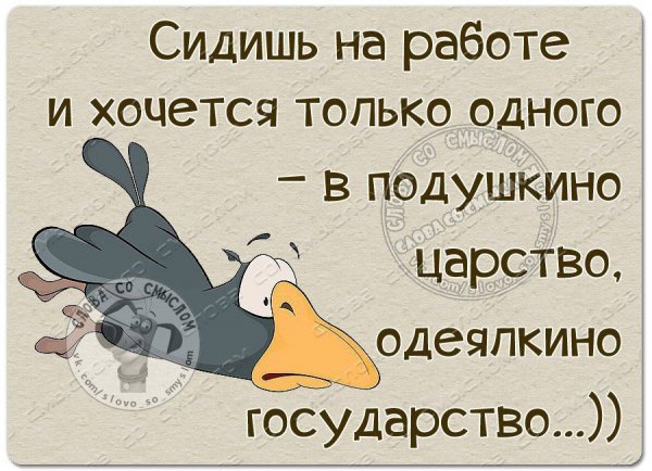 Прикольные высказывания о жизни