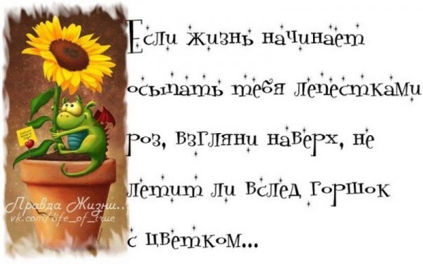 Высказывания о жизни с юмором