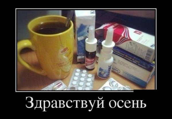 Приколы про простуду