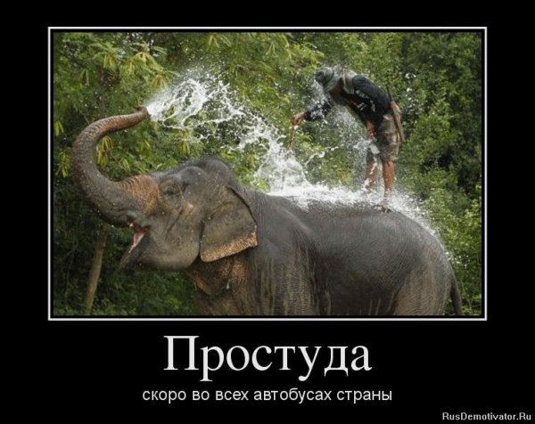 Демотиваторы про простуду смешные