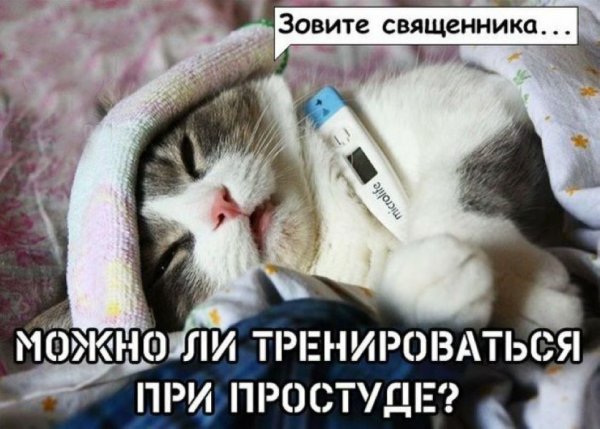 Статус про простуду