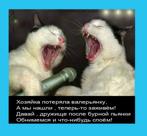 Демотиваторы позитивные смешные