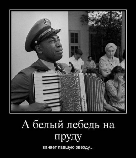 Белый демотиватор