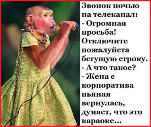 Шутки про караоке в картинках