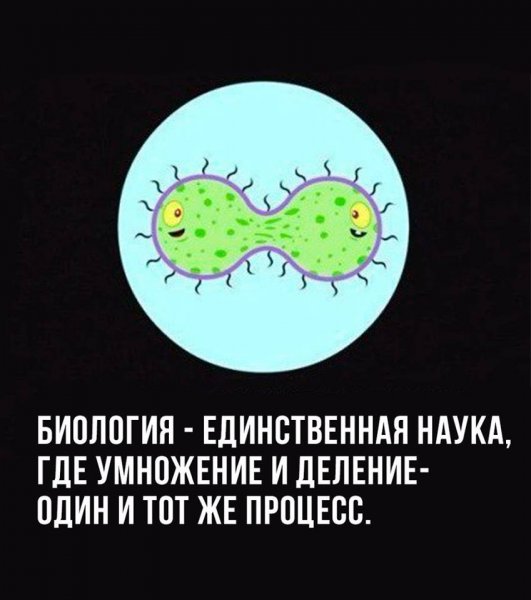 Шутки по биологии