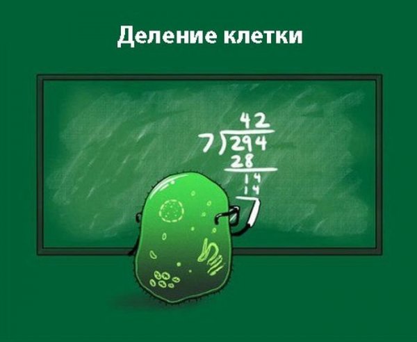 Смешная биология
