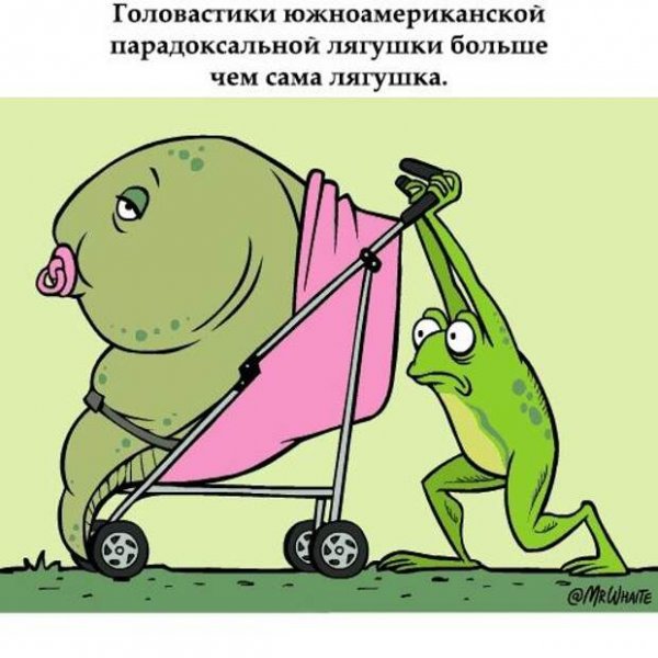 Смешная биология
