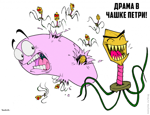 Смешные бактерии