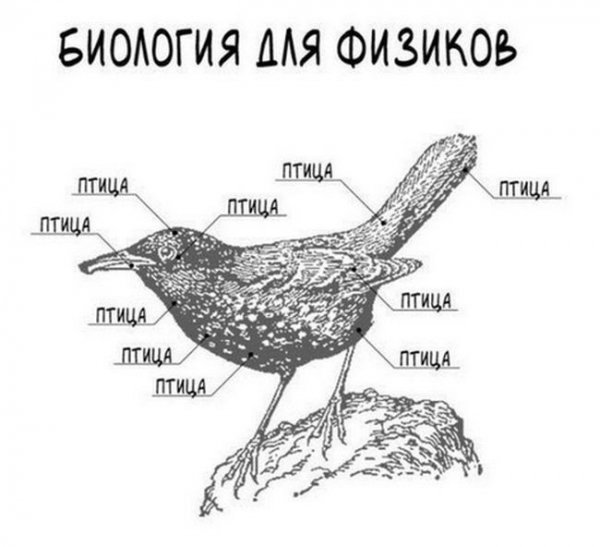 Анекдоты про биологию