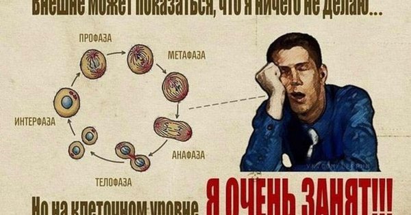 Занят на клеточном уровне