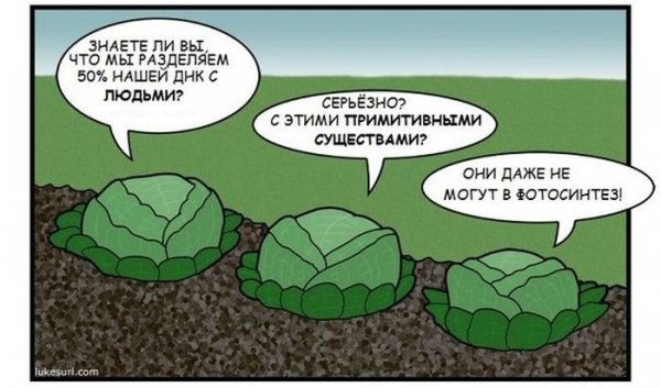 Биологические шутки