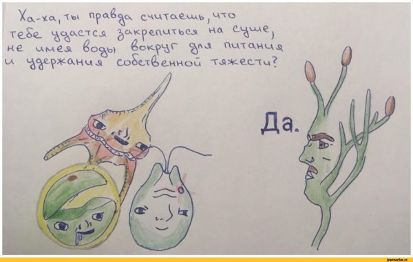 Смешная биология