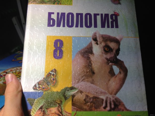 Приколы по биологии