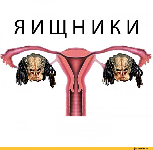 Мемы про биологов