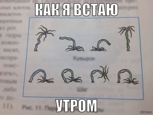 Как я встаю утром