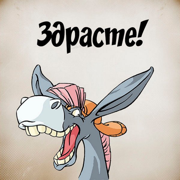 Собака на заборе
