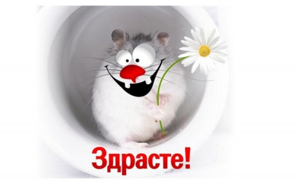 Открытка здрасте