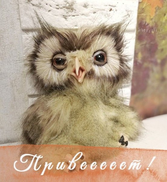 Открытки привет