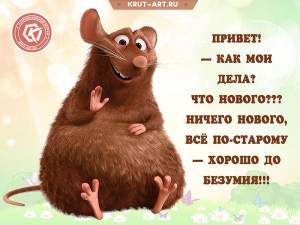 И снова здрасте