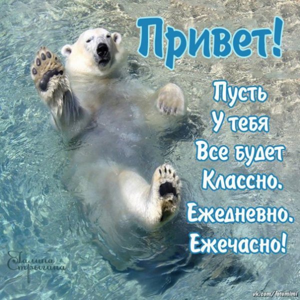 Открытки привет