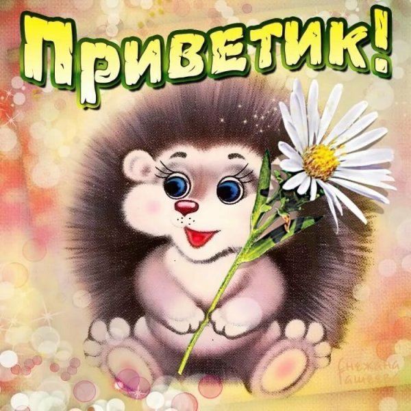 Прикольные анимационные открытки