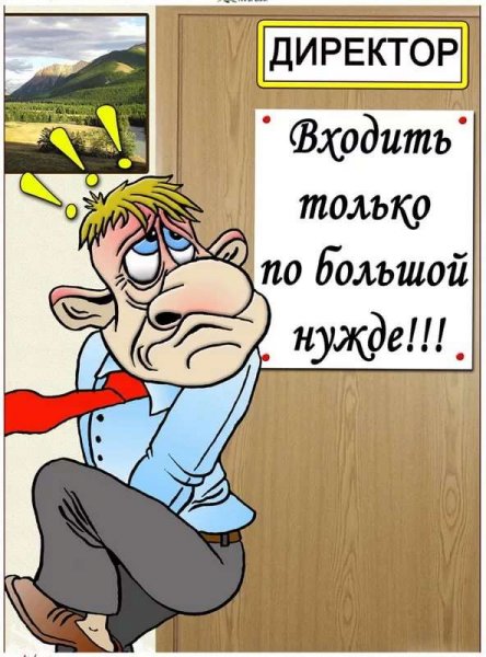 Приколы про начальника в картинках