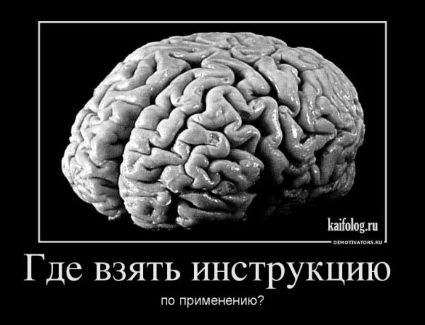 Шутки про мозги