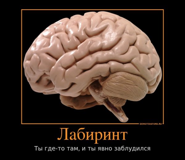 Мозг юмор