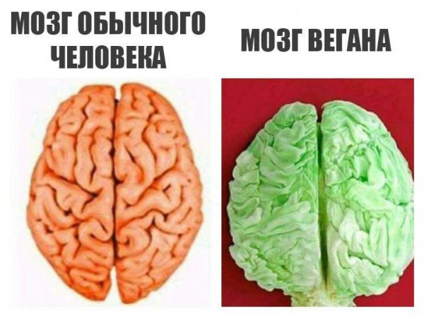 Мозг прикол