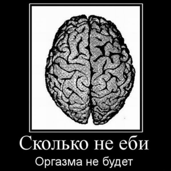 Прикольный мозг