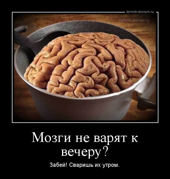 Мозг прикол
