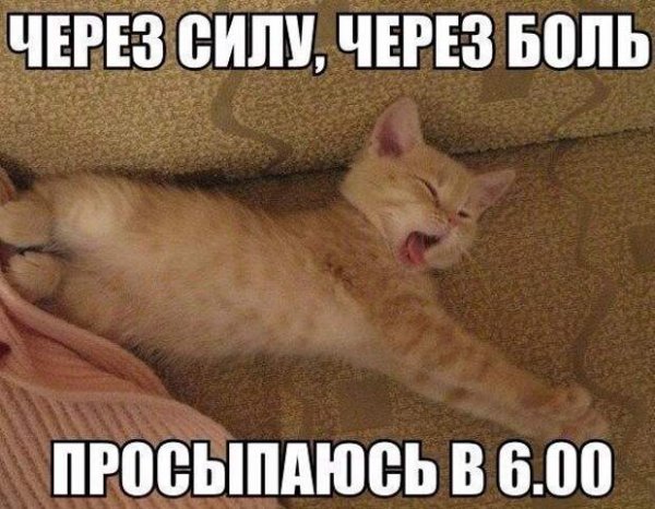 Через силу через боль просыпаюсь в 6 00