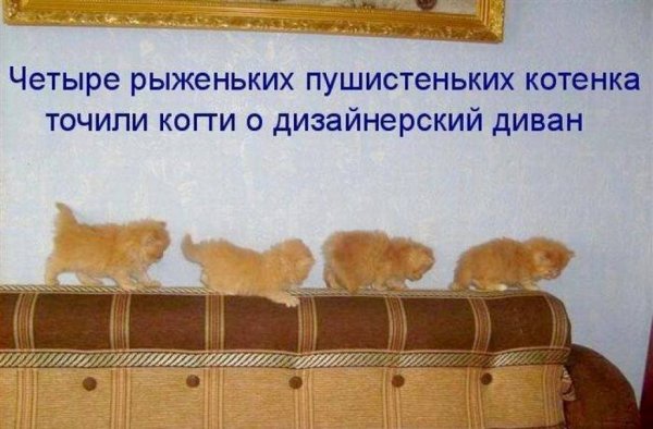 Вы уже проснулись тогда мы идем к вам