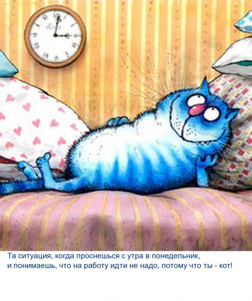 Проснулись доброе утро