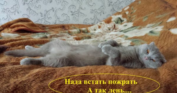 Лень просыпаться