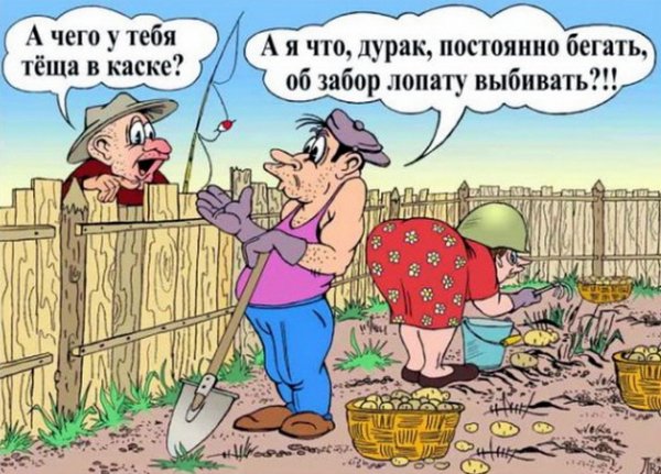 Приколы про дачу