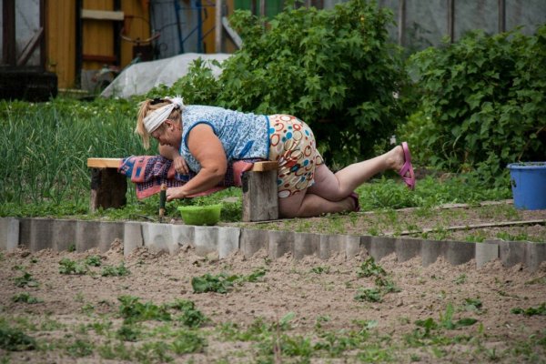 Женщина на даче в огороде