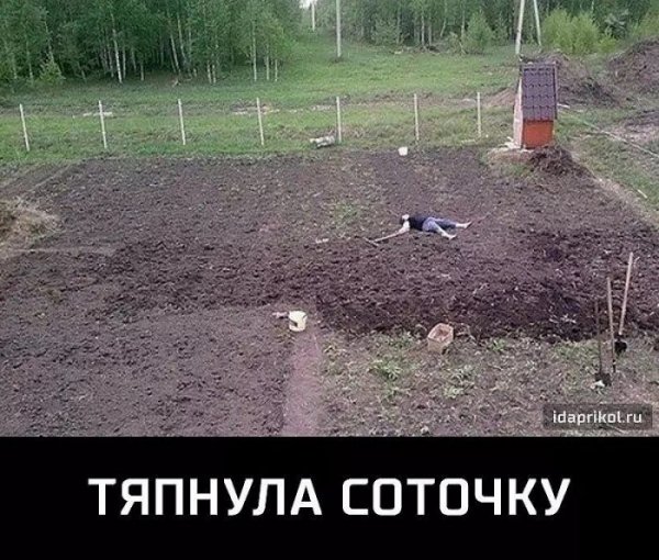 Смешные грядки